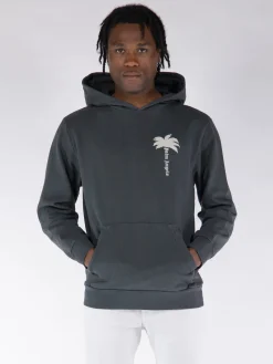 PALM ANGELS Felpe<FELPA HOODIE THE PALM GD Grigio